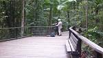 Fraser Island-228-central-station-boardwalk.jpg