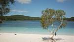 Fraser Island-234-lake-mckenzie.jpg