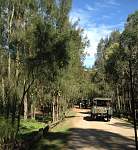 Bribie Island-bribie-6.jpg