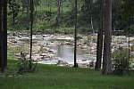 MURPHYS CREEK-murphys_45.jpg