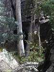 Carnarvon Gorge-016-medium-.jpg