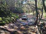 Condamine River &amp; Queen Mary Falls 2013-imageuploadedbytapatalk1368958579.487779.jpg