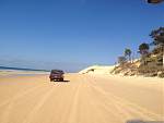 Fraser Island 2013-img_4325.jpg