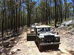 Mt Barney 2013-114.jpg