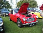 Austin Healey Car Club Day out-austin-healey-day-005.jpg