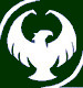 Phoenix's Avatar