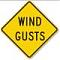 windsock