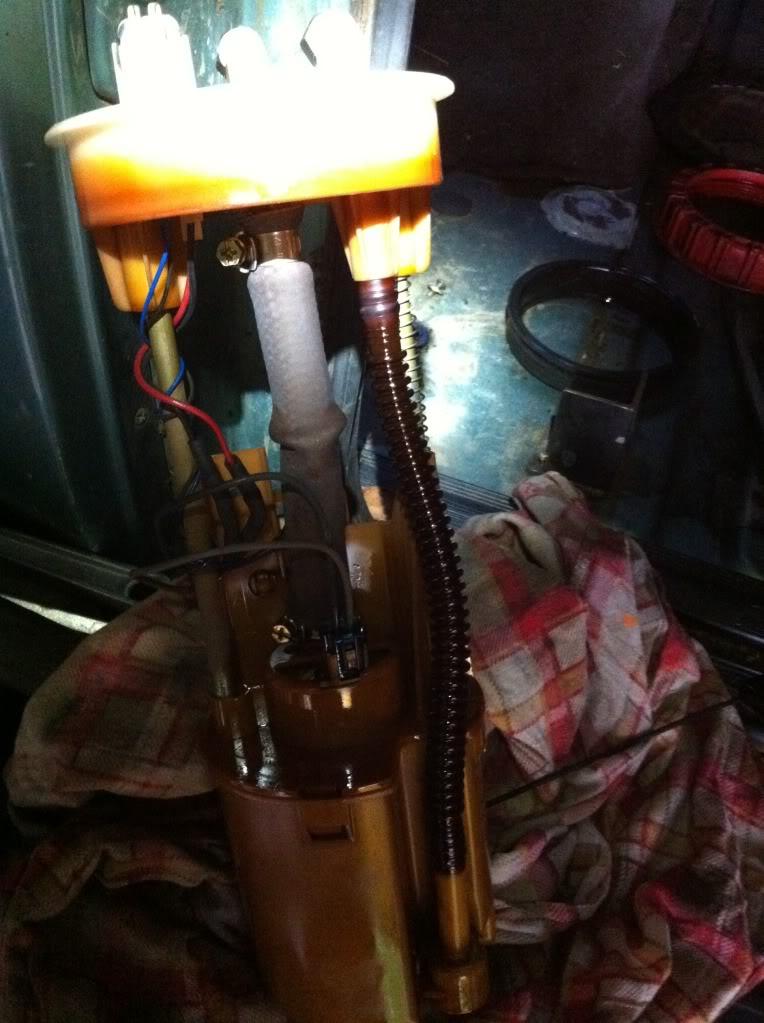 Vn commodore fuel pump replacement discount