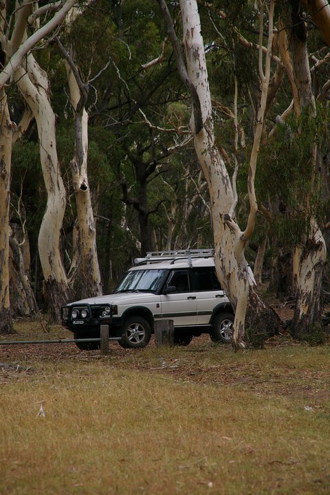 249713_105706936189873_6532571_n