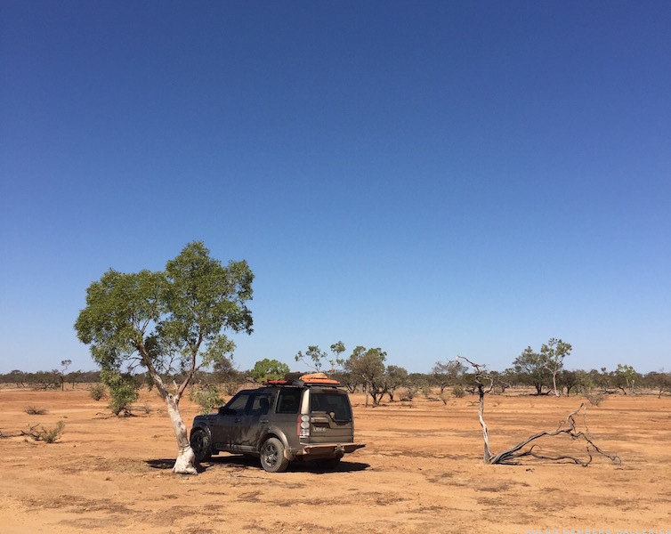 IMG_2786_Under_lone_tree_Bladensburg