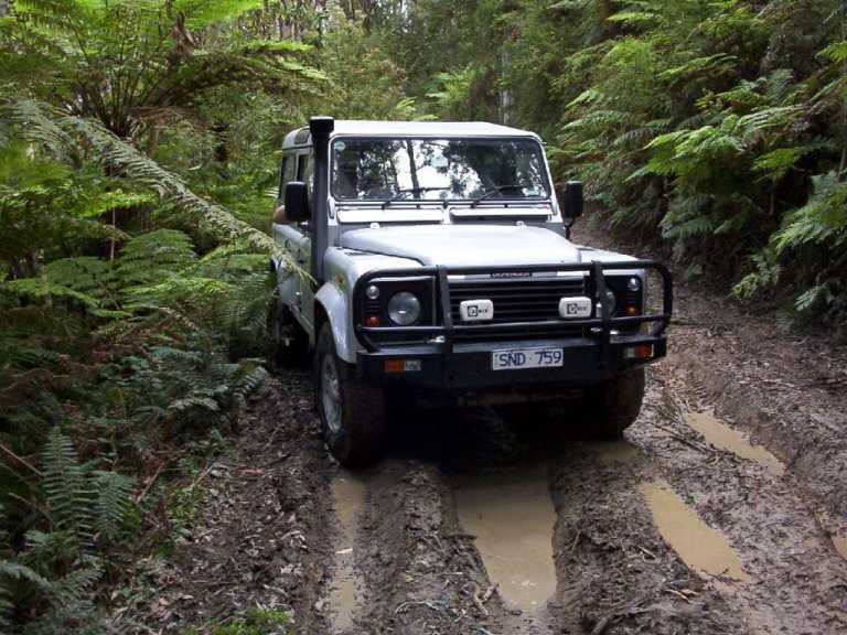 Otway Ranges - Muddy