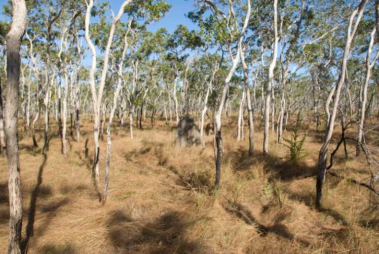 Visit to 13S 136E Confluence Point