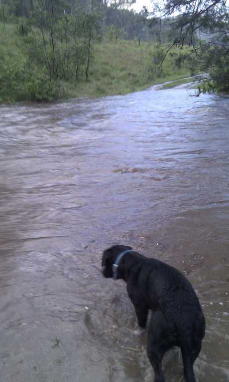 row row row ya cars quickly down the street .....