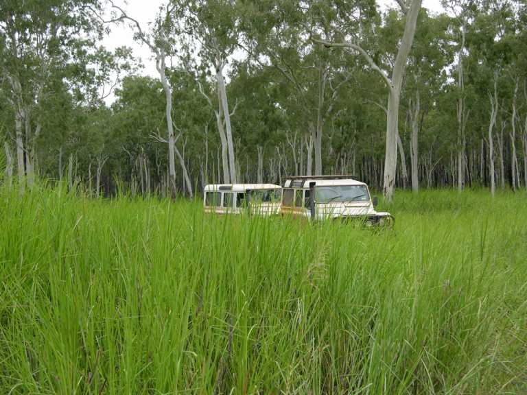 Defenders hunting in Arnhem Wetlands