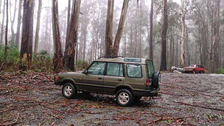Near Lake Mountain.. Near a track that beckoned