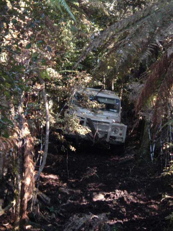 Landrovers in the mist