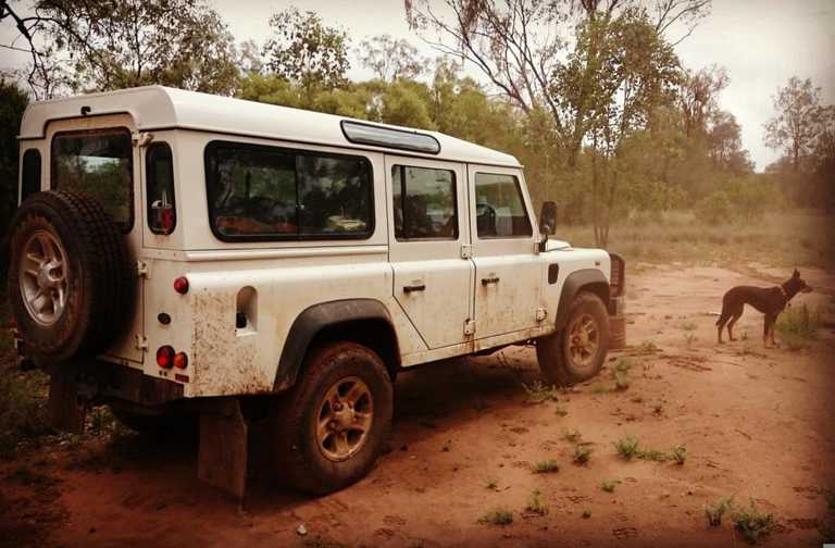 Out bush with my dog and Defender.