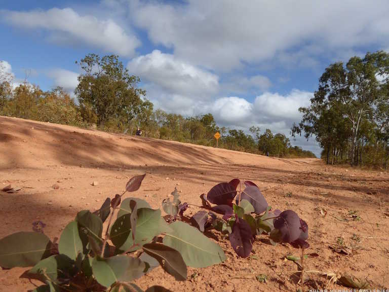 Cape York Road