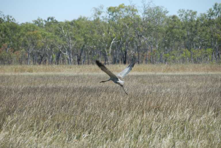 Visit to 13S 136E Confluence Point