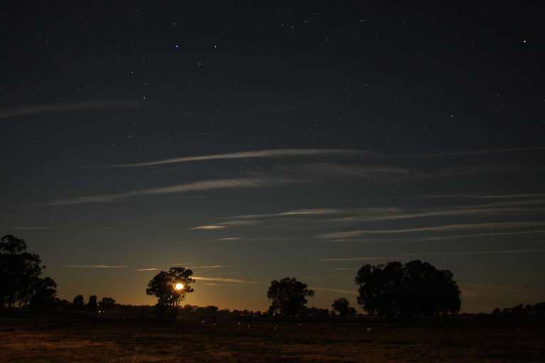 Moonrist at Shepparton