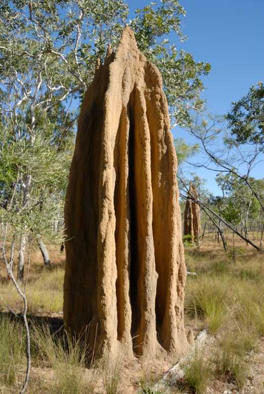 Visit to 13S 136E Confluence Point