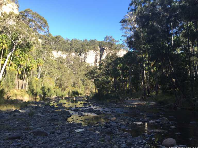 Carnarvon Gorge