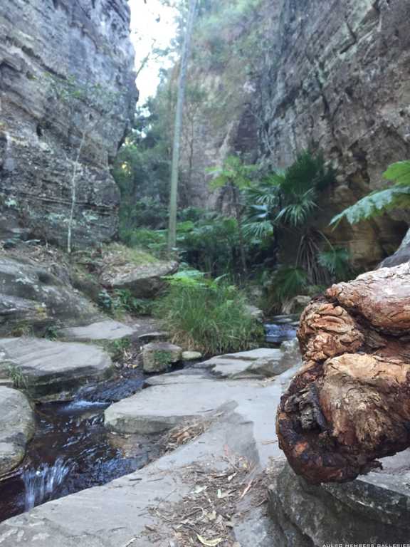 Carnarvon Gorge