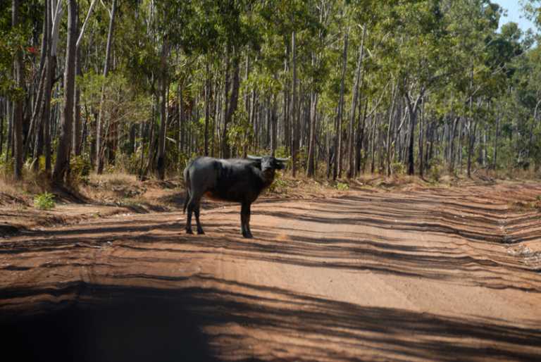 Visit to 13S 136E Confluence Point