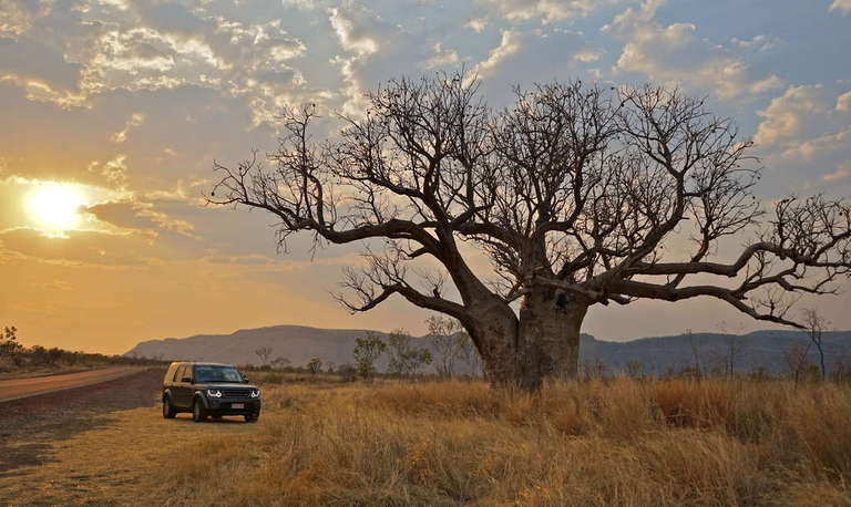 Boab &amp; MY14 D i s c o v e r y