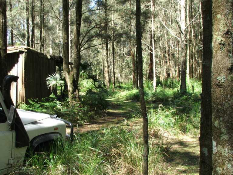Old fishermans shack,HMP,Bulladelah River,NSW