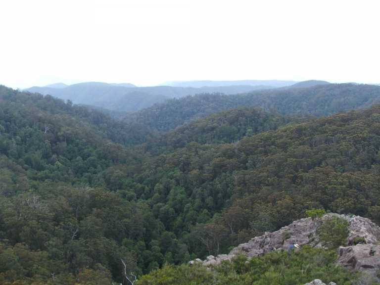 Werrikimbe wilderness,NSW