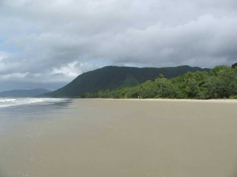 Cape Tribulation,QLD