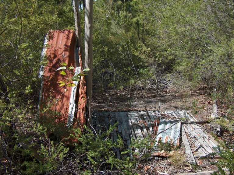 Fraser Island Ruins