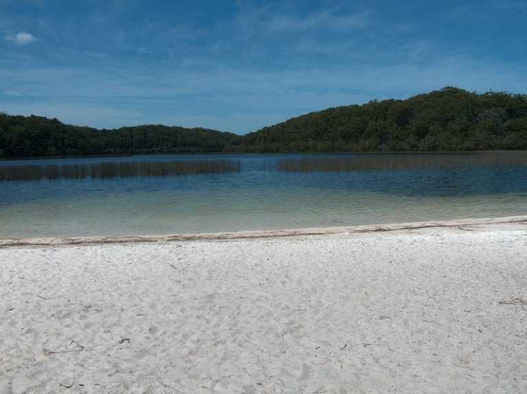 Lake Mckenzie Fraser Island