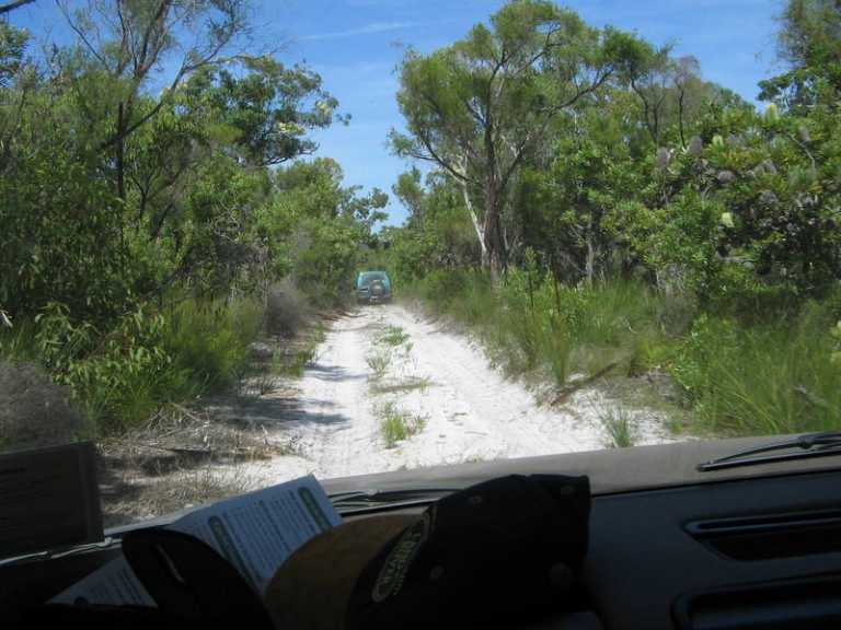 Fraser Island on the road to the ruins