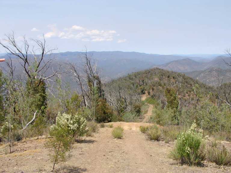 View south to Victoria from snowy wilderness