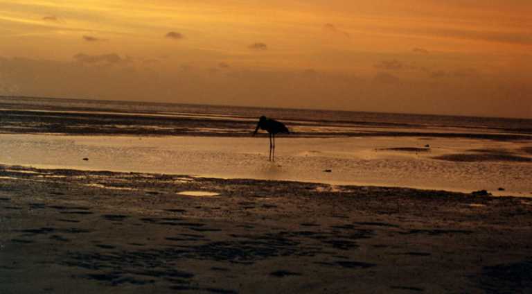 Sunset at Frangipani Beach
