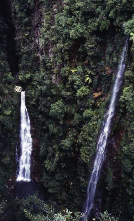 Coomera Crevice, Lamington National Park, QLD