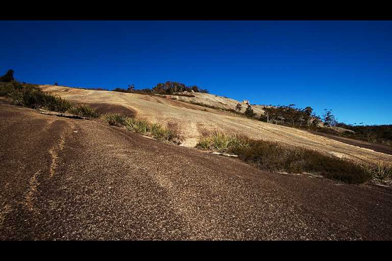 Bald Rock National Park