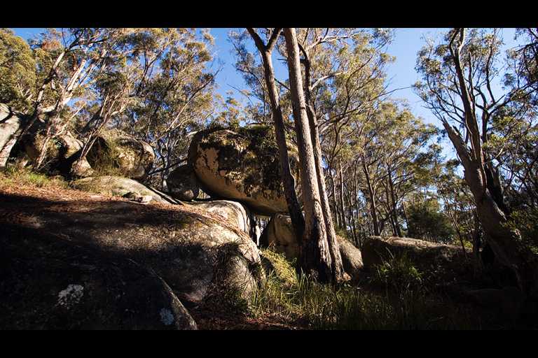 Bald Rock National Park