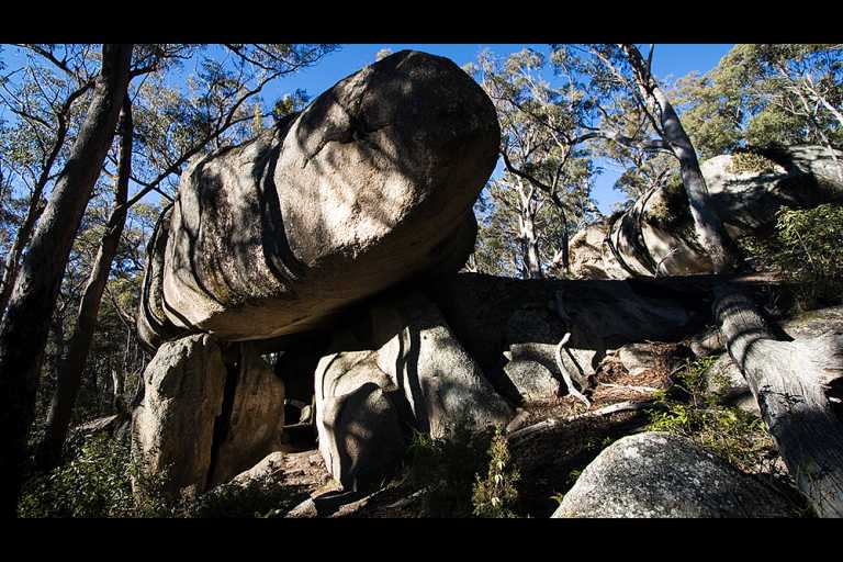 Bald Rock National Park