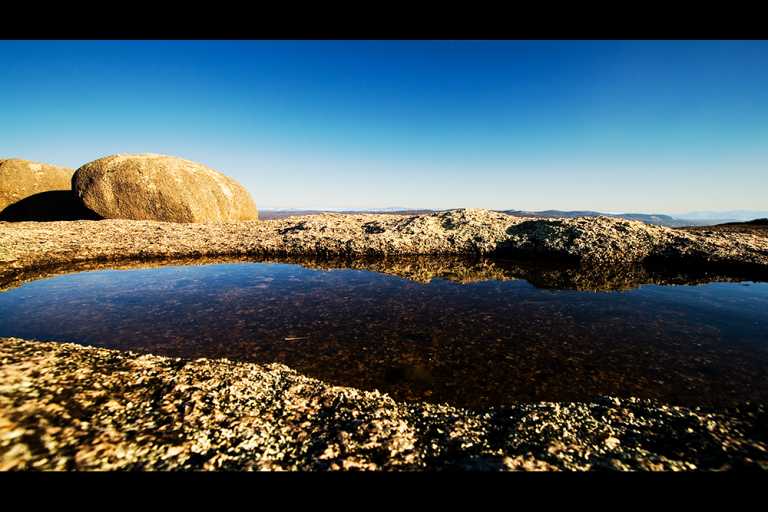 Bald Rock National Park