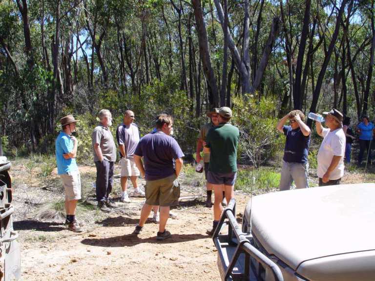 Land Rover 60th @ cooma