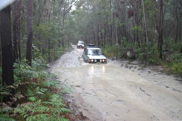 Watagans 15-7-06 (cal415's photos)