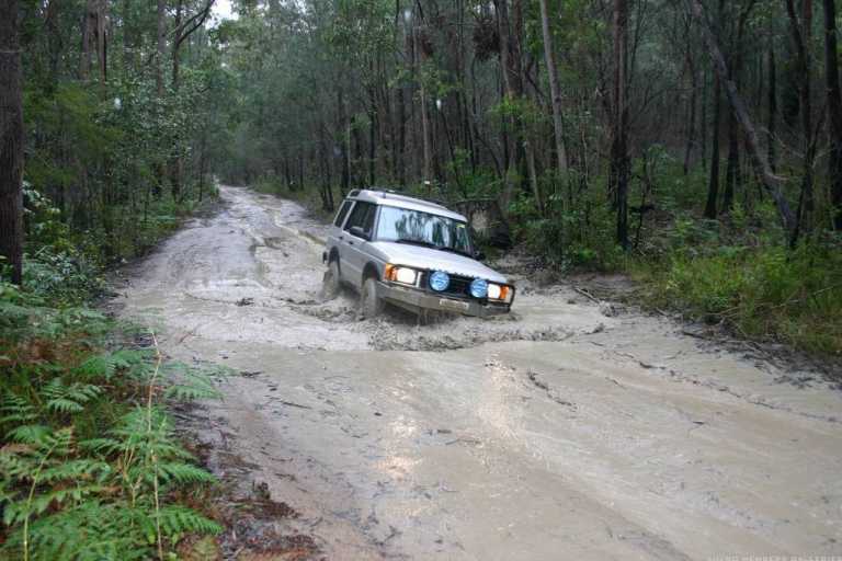 Watagans 15-7-06 (cal415's photos)