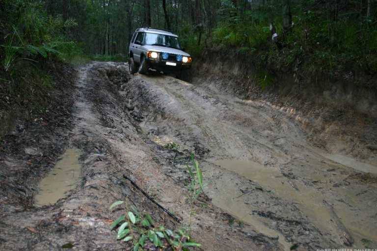 Watagans 15-7-06 (cal415's photos)