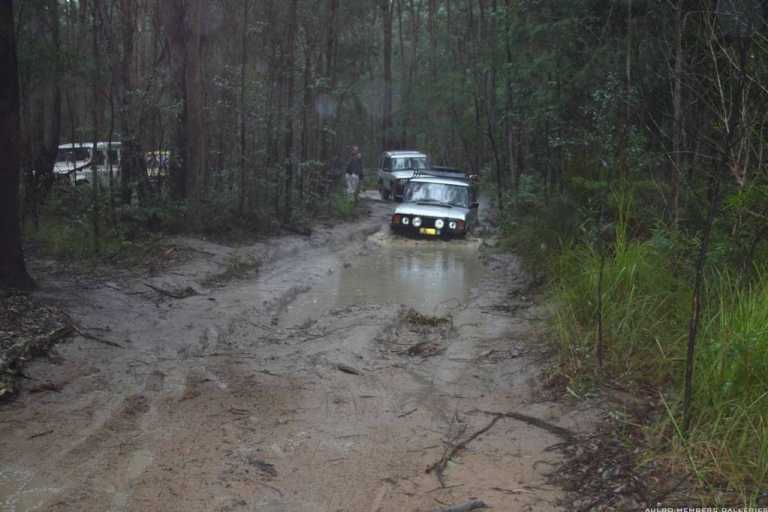 Watagans 15-7-06 (cal415's photos)