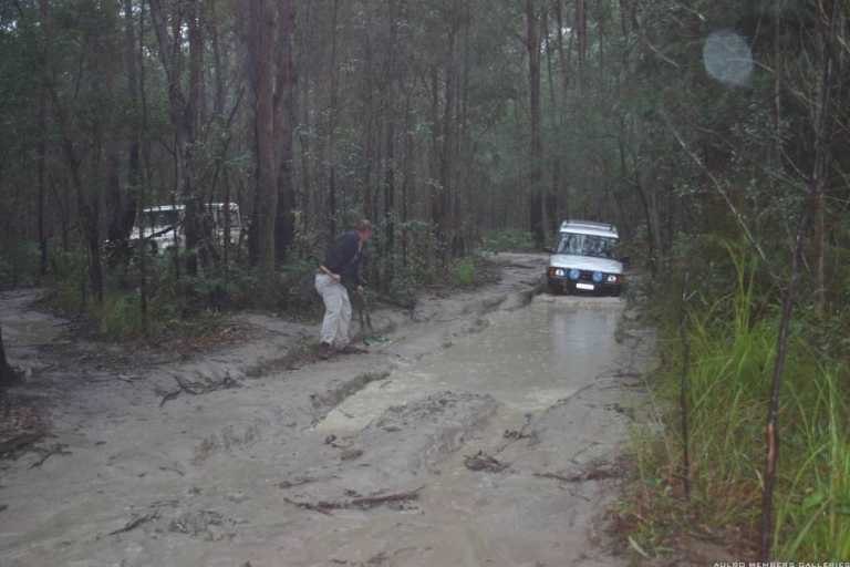 Watagans 15-7-06 (cal415's photos)