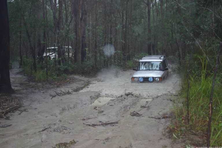 Watagans 15-7-06 (cal415's photos)