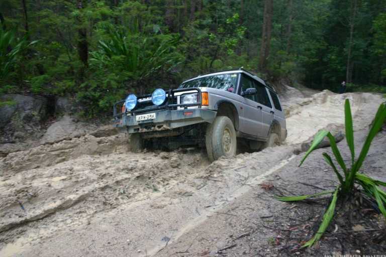 Watagans 15-7-06 (cal415's photos)